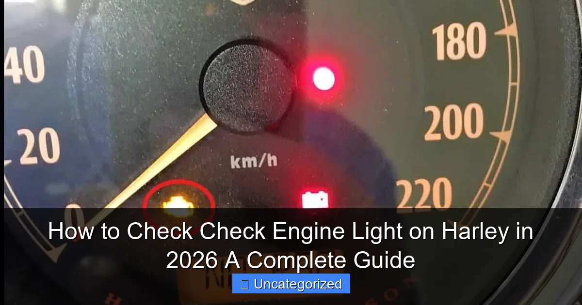 How to Check Check Engine Light on Harley in 2026 A Complete Guide