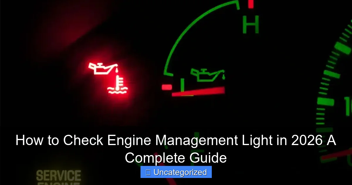 How to Check Engine Management Light in 2026 A Complete Guide