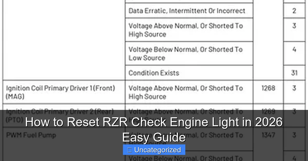 How to Reset RZR Check Engine Light in 2026 Easy Guide