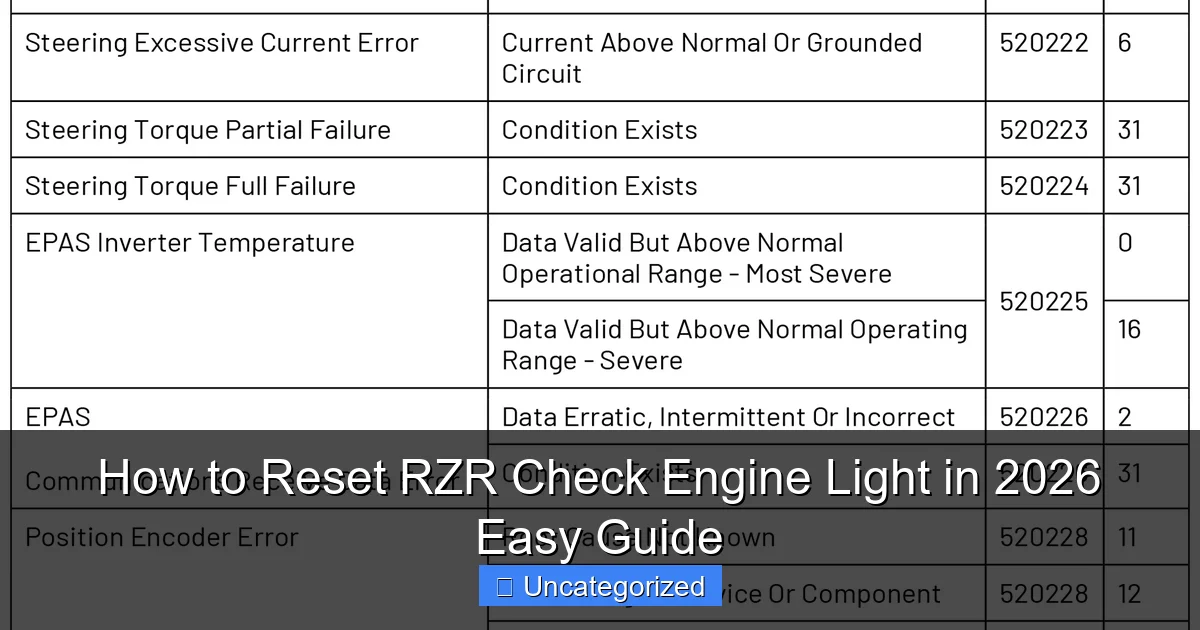 How to Reset RZR Check Engine Light in 2026 Easy Guide