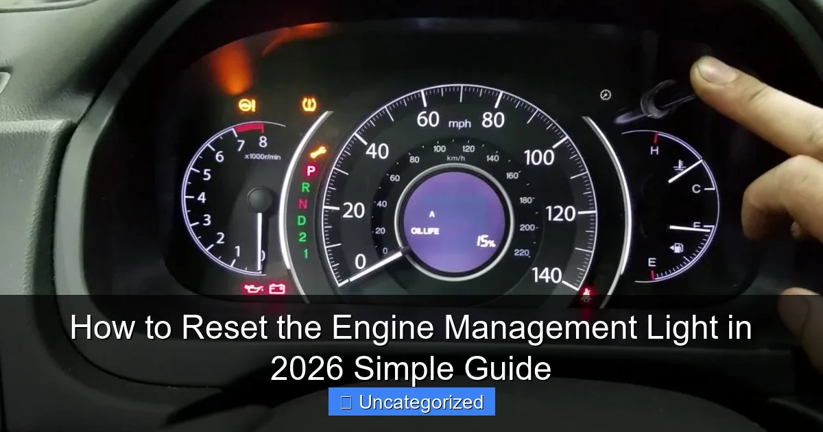 How to Reset the Engine Management Light in 2026 Simple Guide