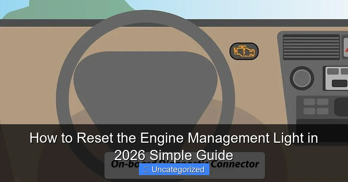 How to Reset the Engine Management Light in 2026 Simple Guide