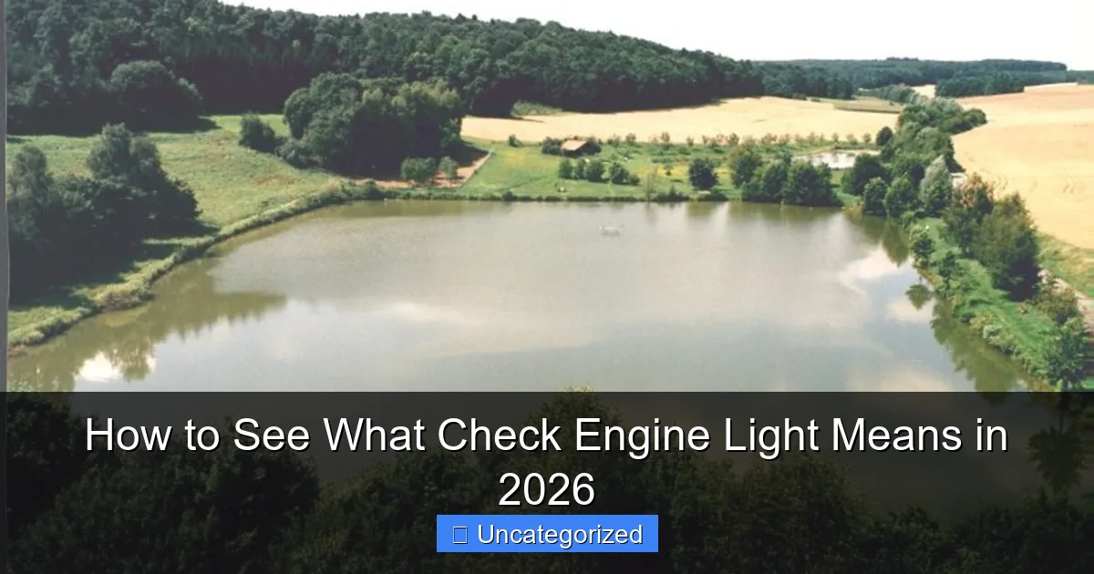 How to See What Check Engine Light Means in 2026