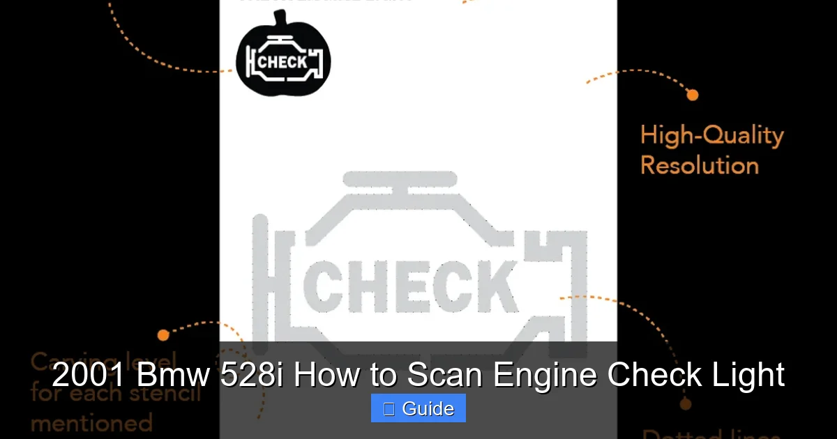 2001 Bmw 528i How to Scan Engine Check Light