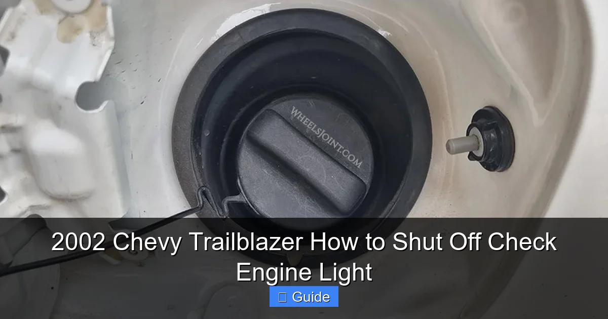 2002 Chevy Trailblazer How to Shut Off Check Engine Light