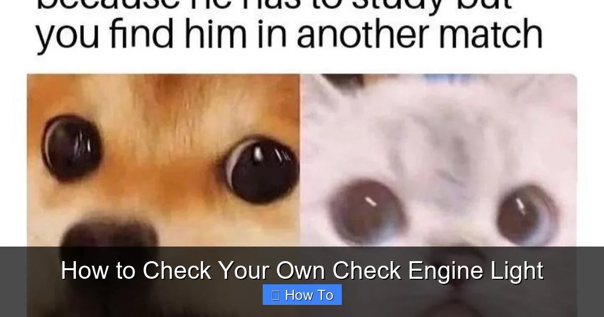 How to Check Your Own Check Engine Light