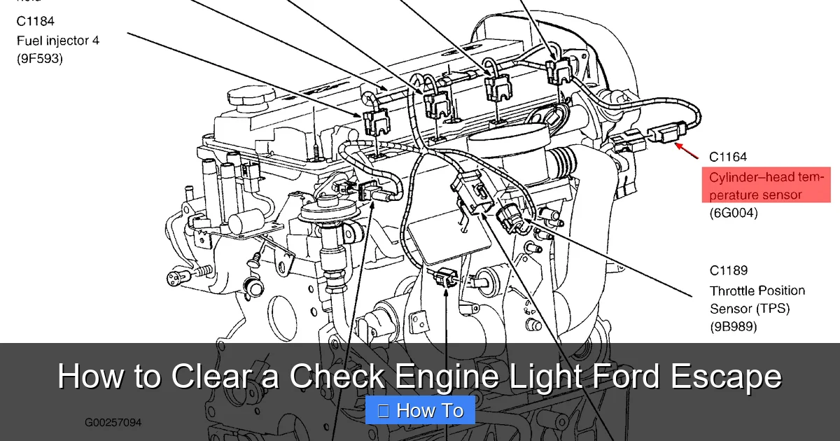 How to Clear a Check Engine Light Ford Escape