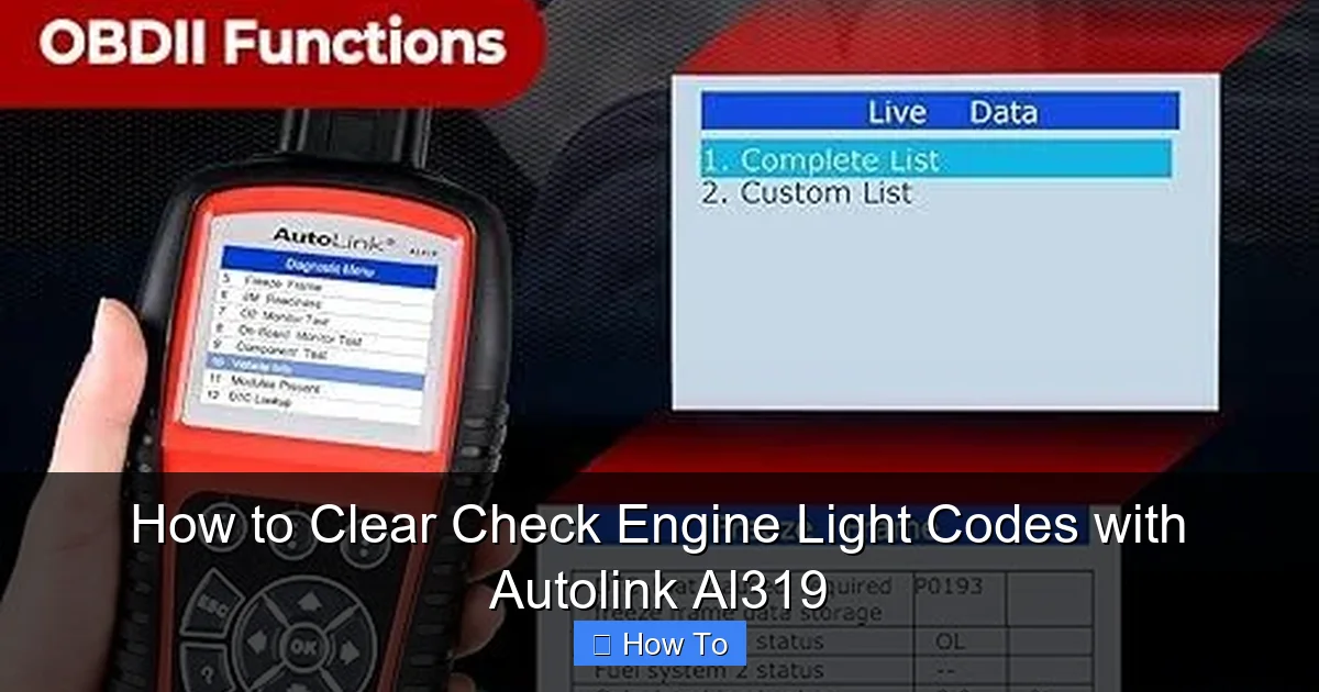 How to Clear Check Engine Light Codes with Autolink Al319