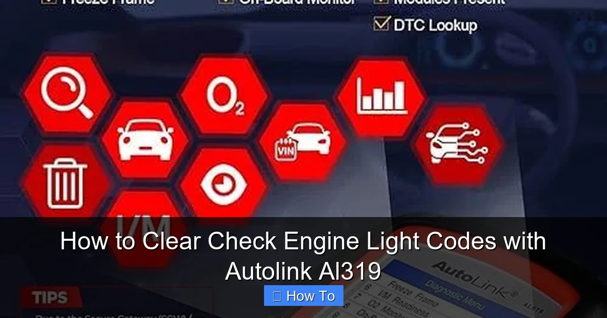How to Clear Check Engine Light Codes with Autolink Al319