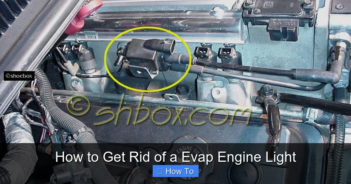 How to Get Rid of a Evap Engine Light
