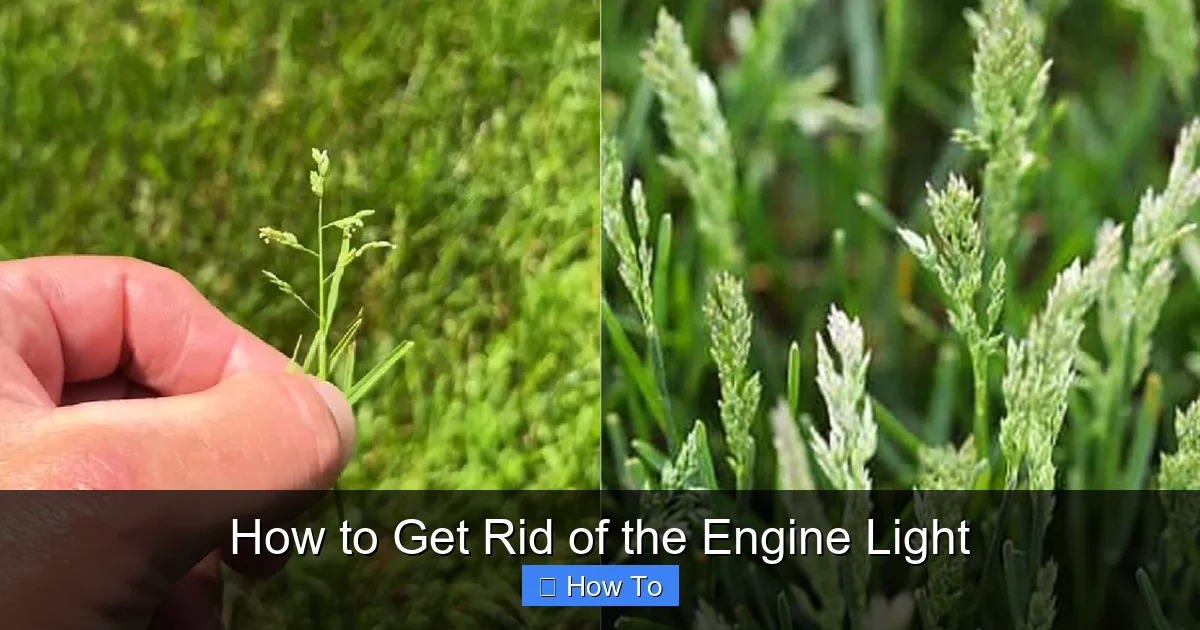 How to Get Rid of the Engine Light