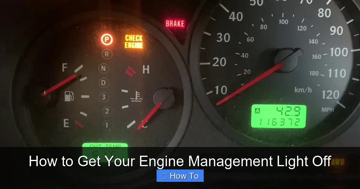 How to Get Your Engine Management Light Off