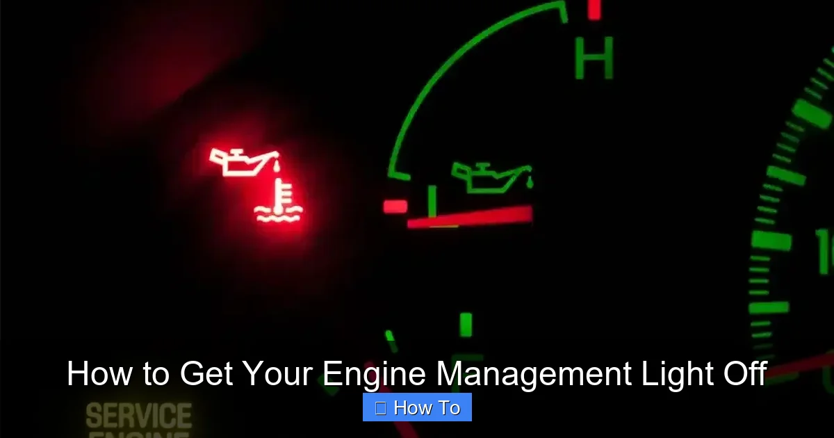 How to Get Your Engine Management Light Off