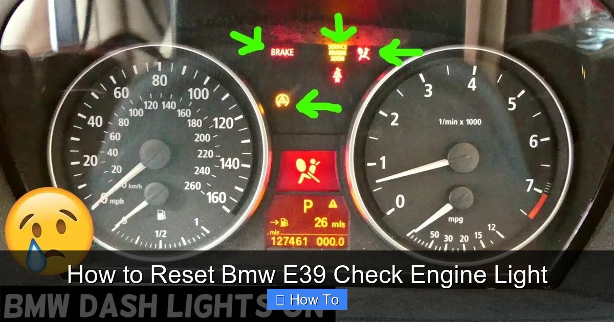 How to Reset Bmw E39 Check Engine Light