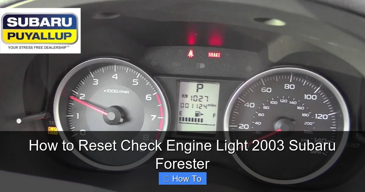 How to Reset Check Engine Light 2003 Subaru Forester