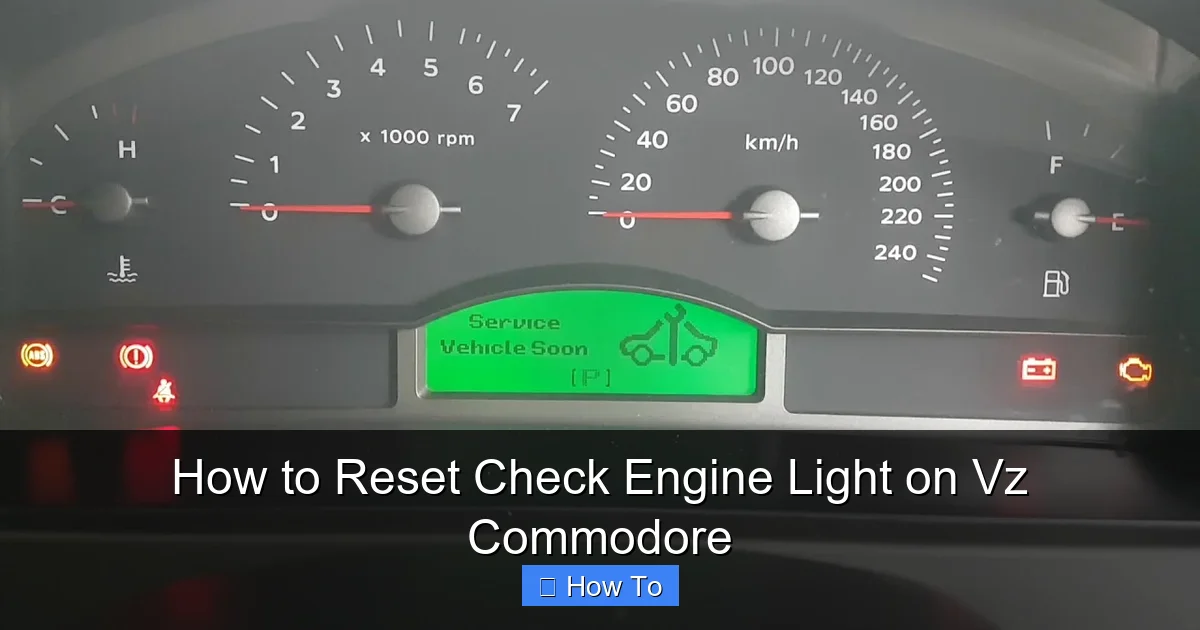 How to Reset Check Engine Light on Vz Commodore