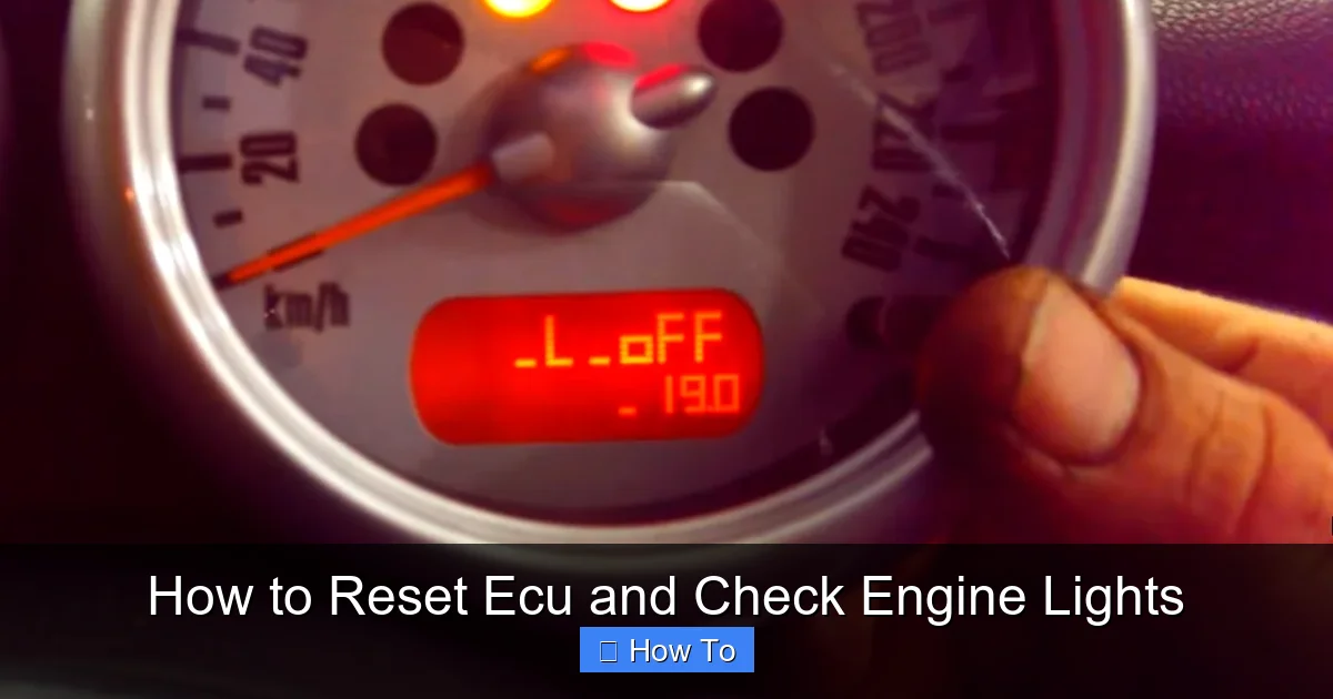 How to Reset Ecu and Check Engine Lights
