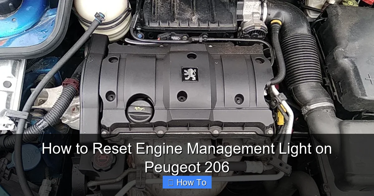 How to Reset Engine Management Light on Peugeot 206