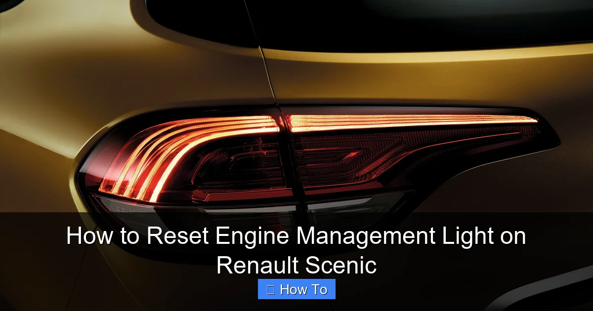 How to Reset Engine Management Light on Renault Scenic