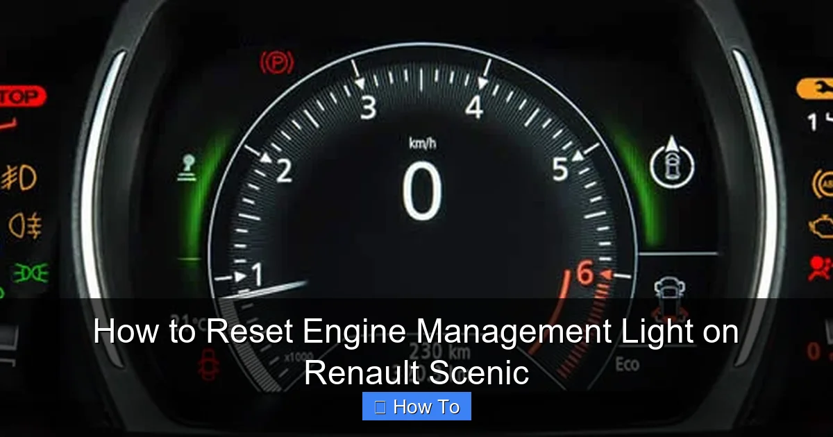 How to Reset Engine Management Light on Renault Scenic