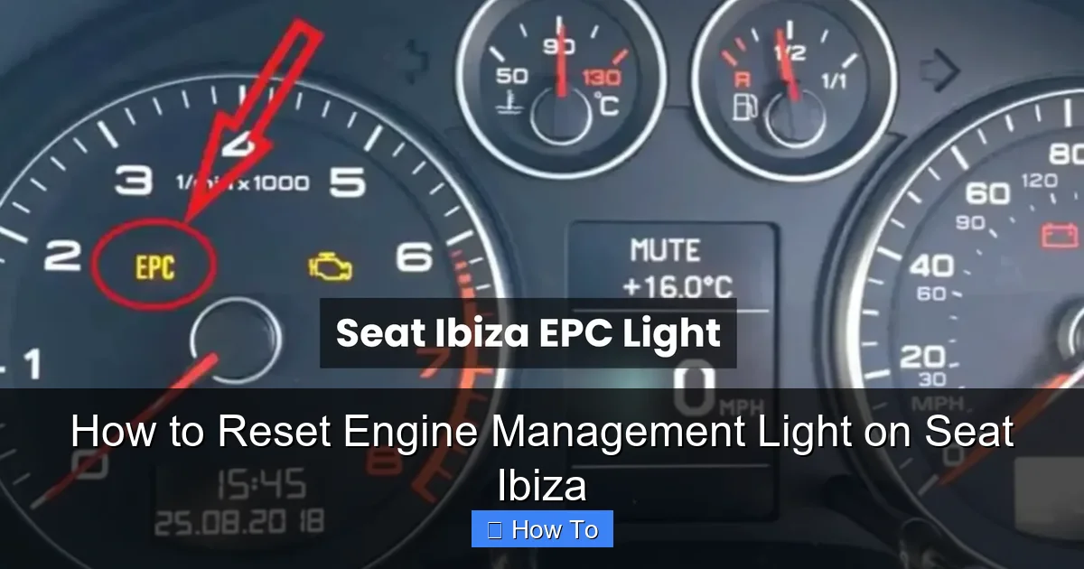 How to Reset Engine Management Light on Seat Ibiza