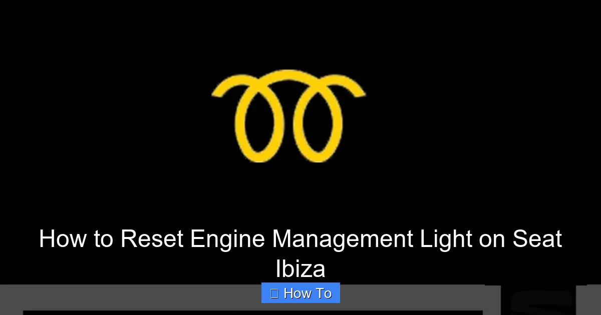 How to Reset Engine Management Light on Seat Ibiza