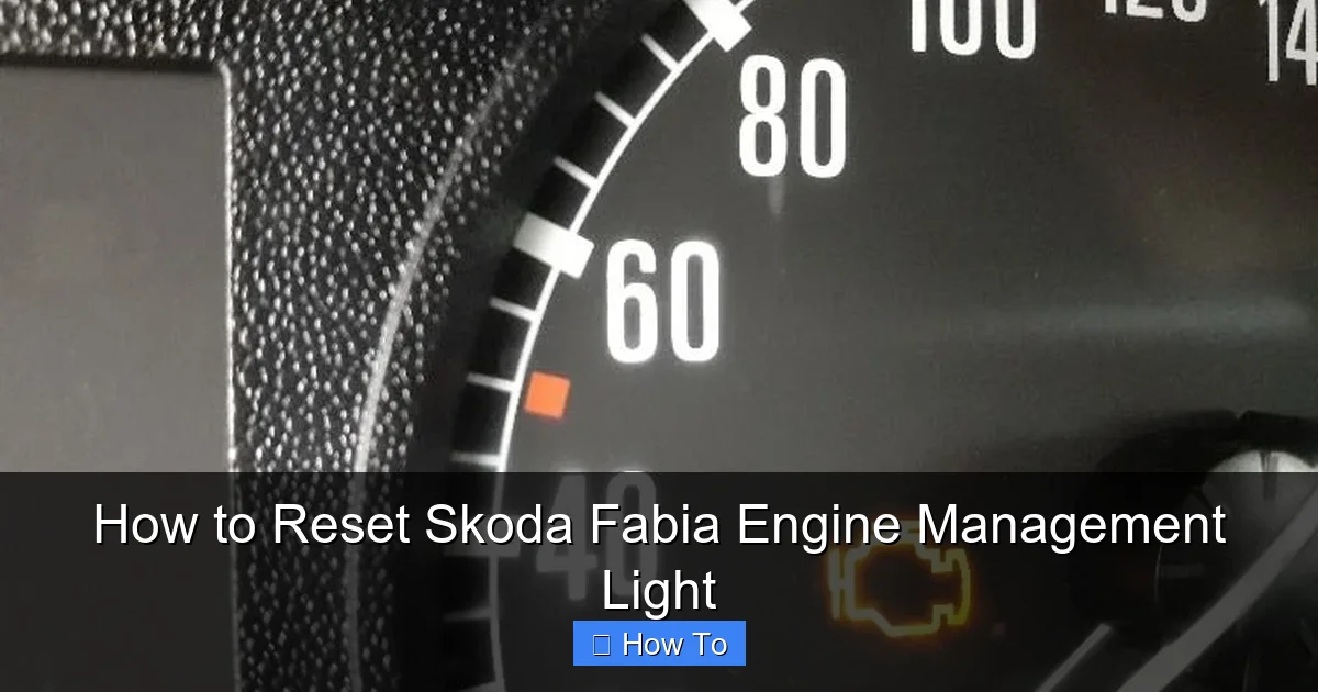 How to Reset Skoda Fabia Engine Management Light