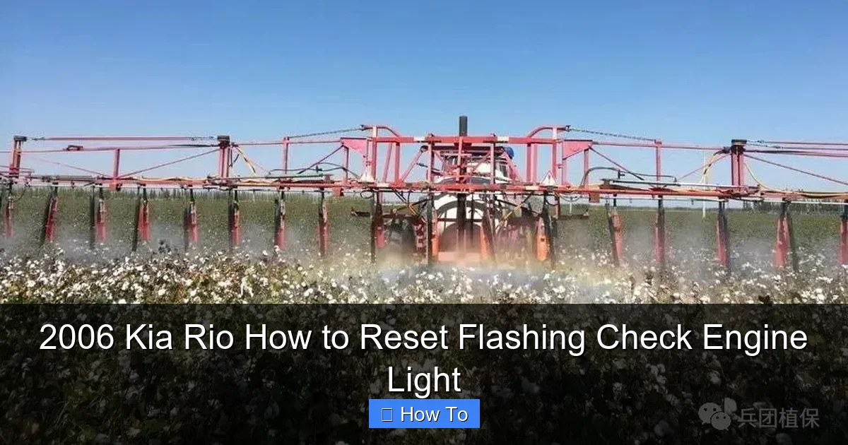 2006 Kia Rio How to Reset Flashing Check Engine Light