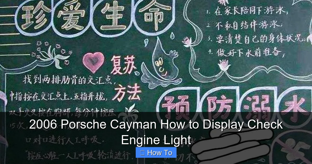 2006 Porsche Cayman How to Display Check Engine Light