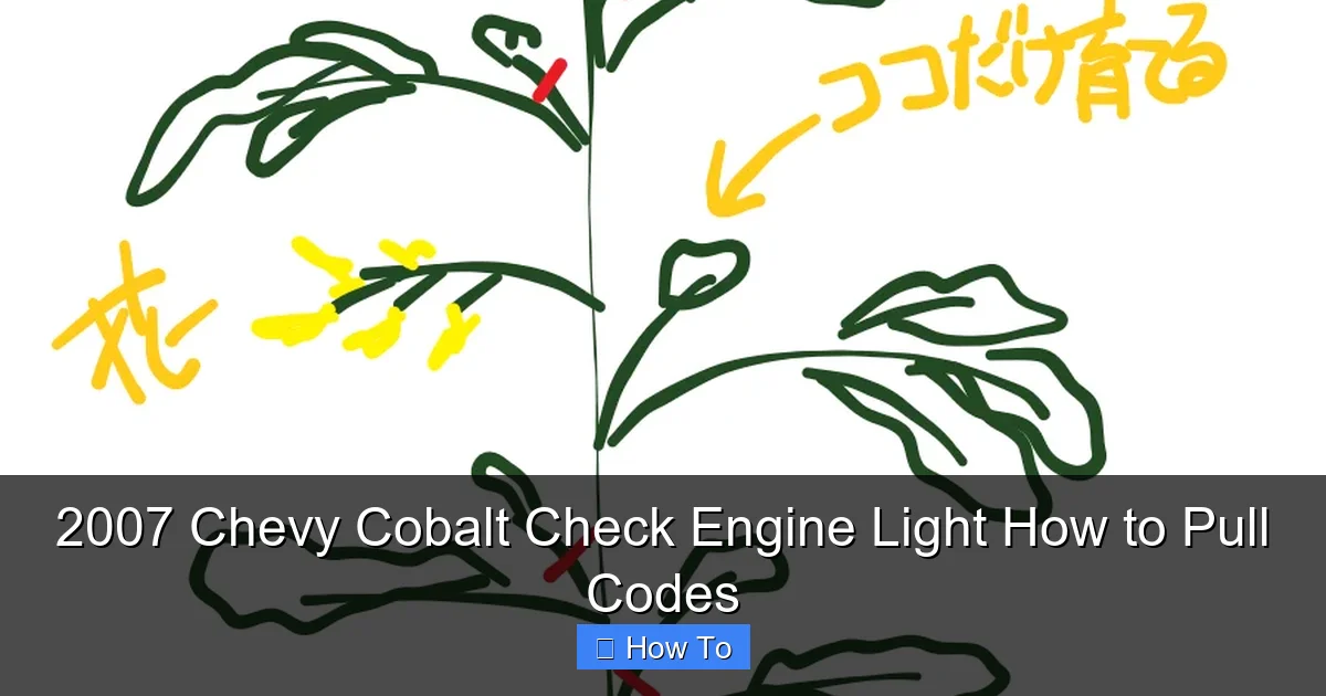 2007 Chevy Cobalt Check Engine Light How to Pull Codes
