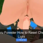 2007 Subaru Forester How to Reset Check Engine Light