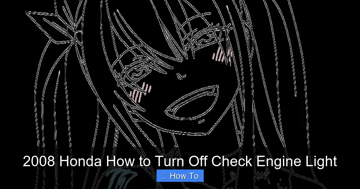 2008 Honda How to Turn Off Check Engine Light