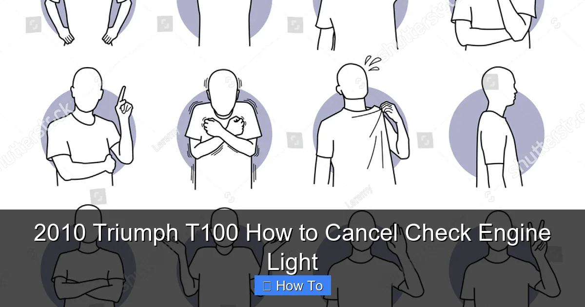2010 Triumph T100 How to Cancel Check Engine Light