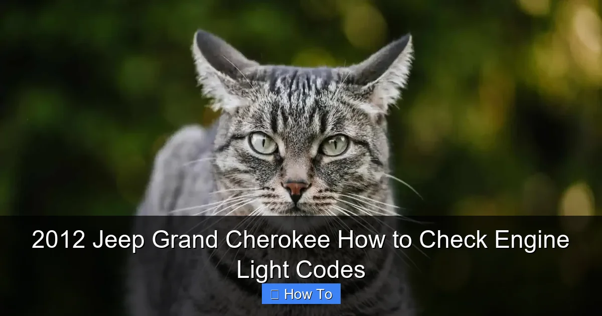 2012 Jeep Grand Cherokee How to Check Engine Light Codes
