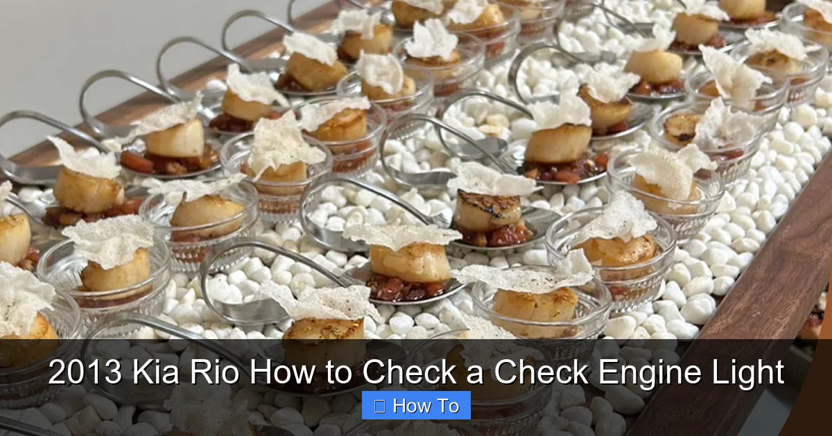 2013 Kia Rio How to Check a Check Engine Light