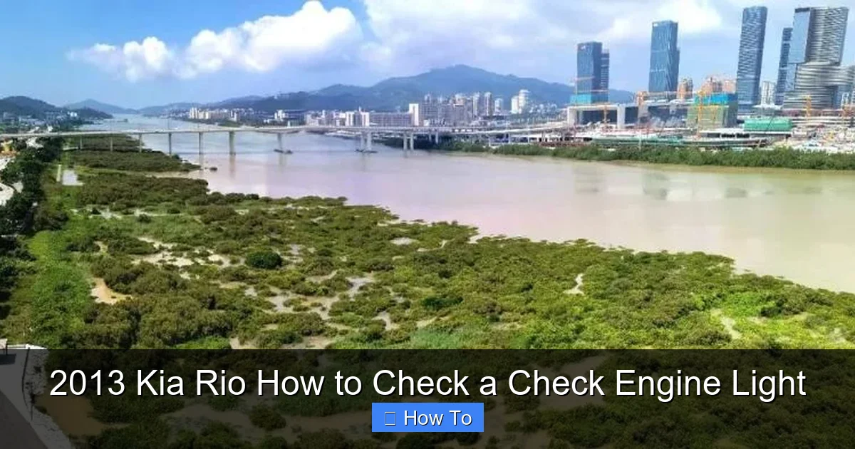 2013 Kia Rio How to Check a Check Engine Light