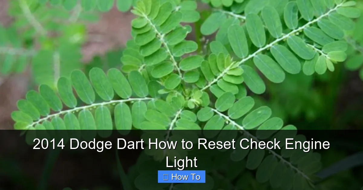 2014 Dodge Dart How to Reset Check Engine Light