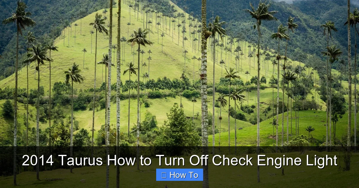 2014 Taurus How to Turn Off Check Engine Light