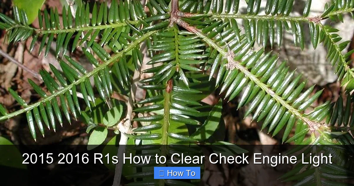 2015 2016 R1s How to Clear Check Engine Light