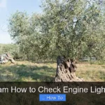 2015 Ram How to Check Engine Light Codes