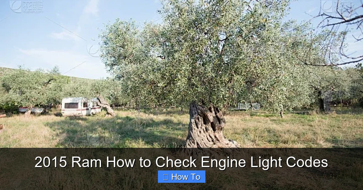 2015 Ram How to Check Engine Light Codes