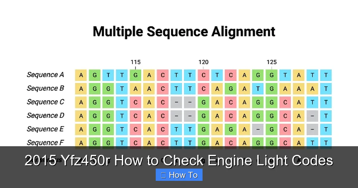 2015 Yfz450r How to Check Engine Light Codes