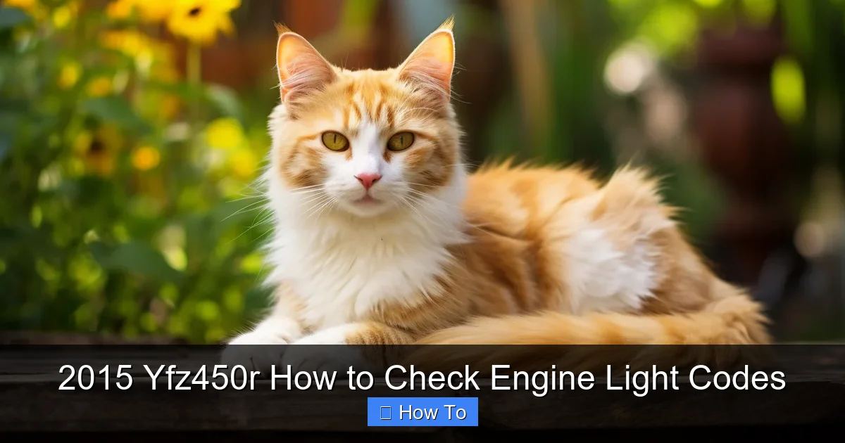 2015 Yfz450r How to Check Engine Light Codes