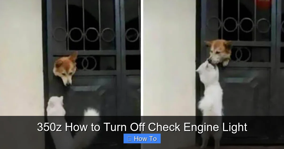 350z How to Turn Off Check Engine Light