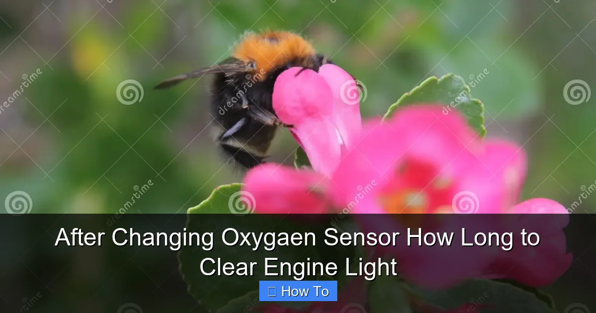 After Changing Oxygaen Sensor How Long to Clear Engine Light