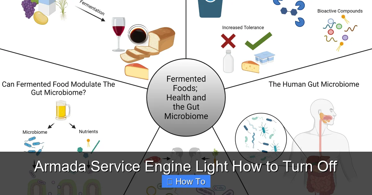 Armada Service Engine Light How to Turn Off