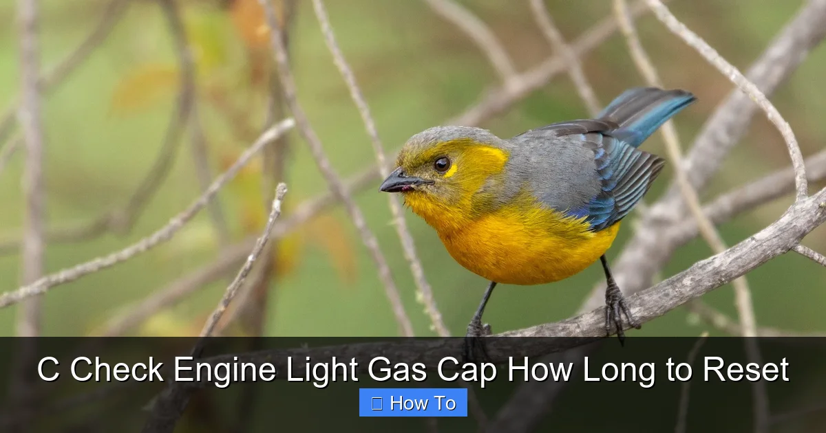 C Check Engine Light Gas Cap How Long to Reset