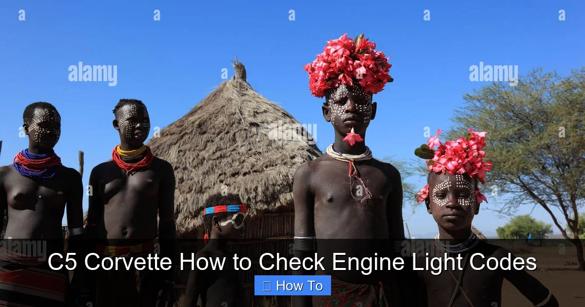C5 Corvette How to Check Engine Light Codes