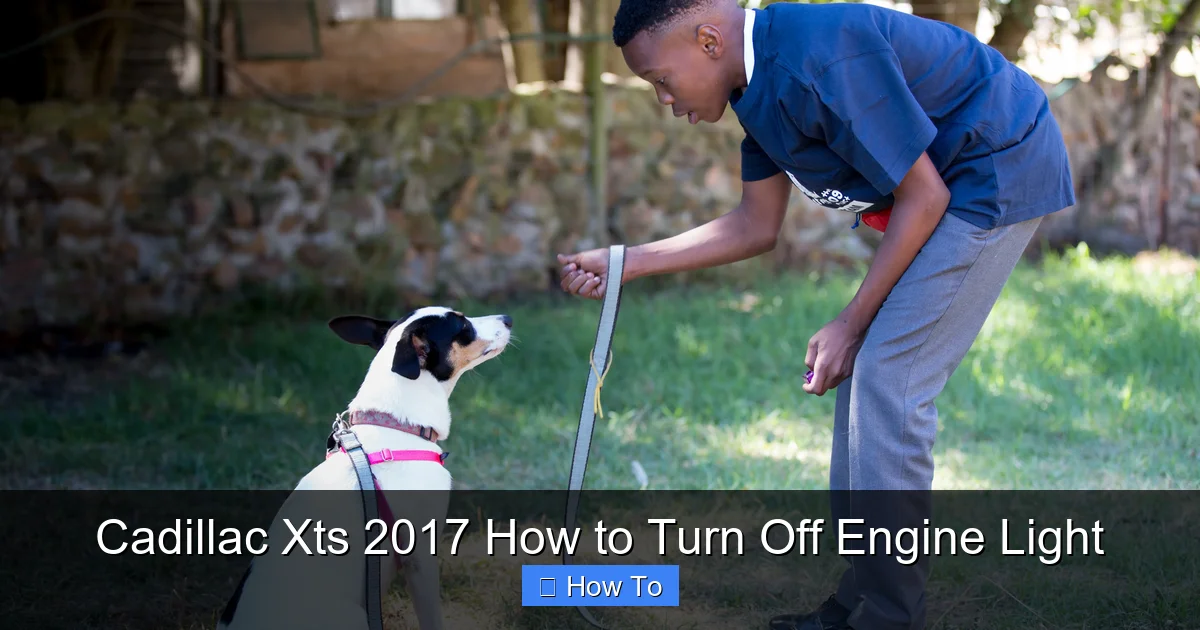 Cadillac Xts 2017 How to Turn Off Engine Light