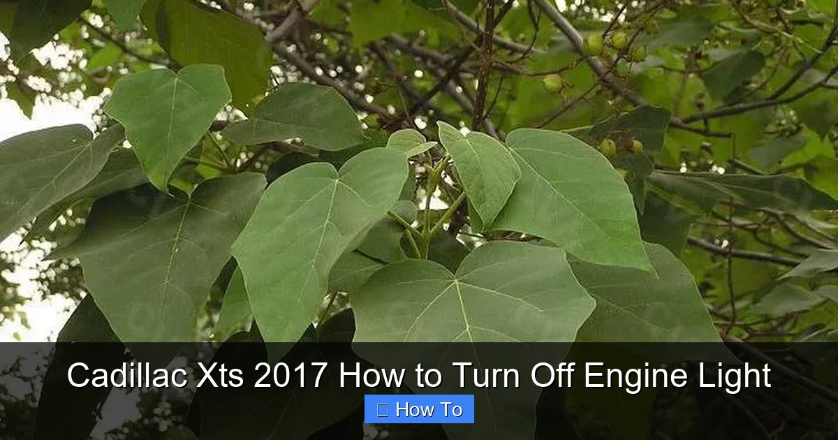 Cadillac Xts 2017 How to Turn Off Engine Light